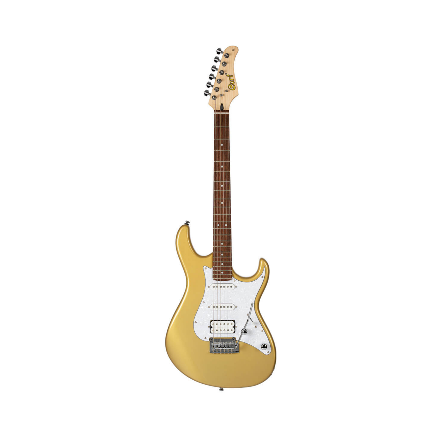 Electric Guitar