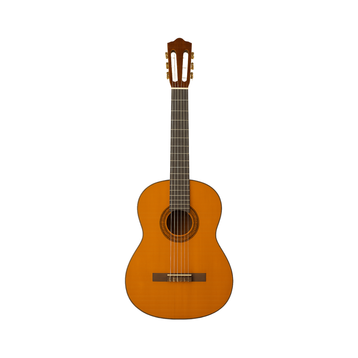 Classic Guitar