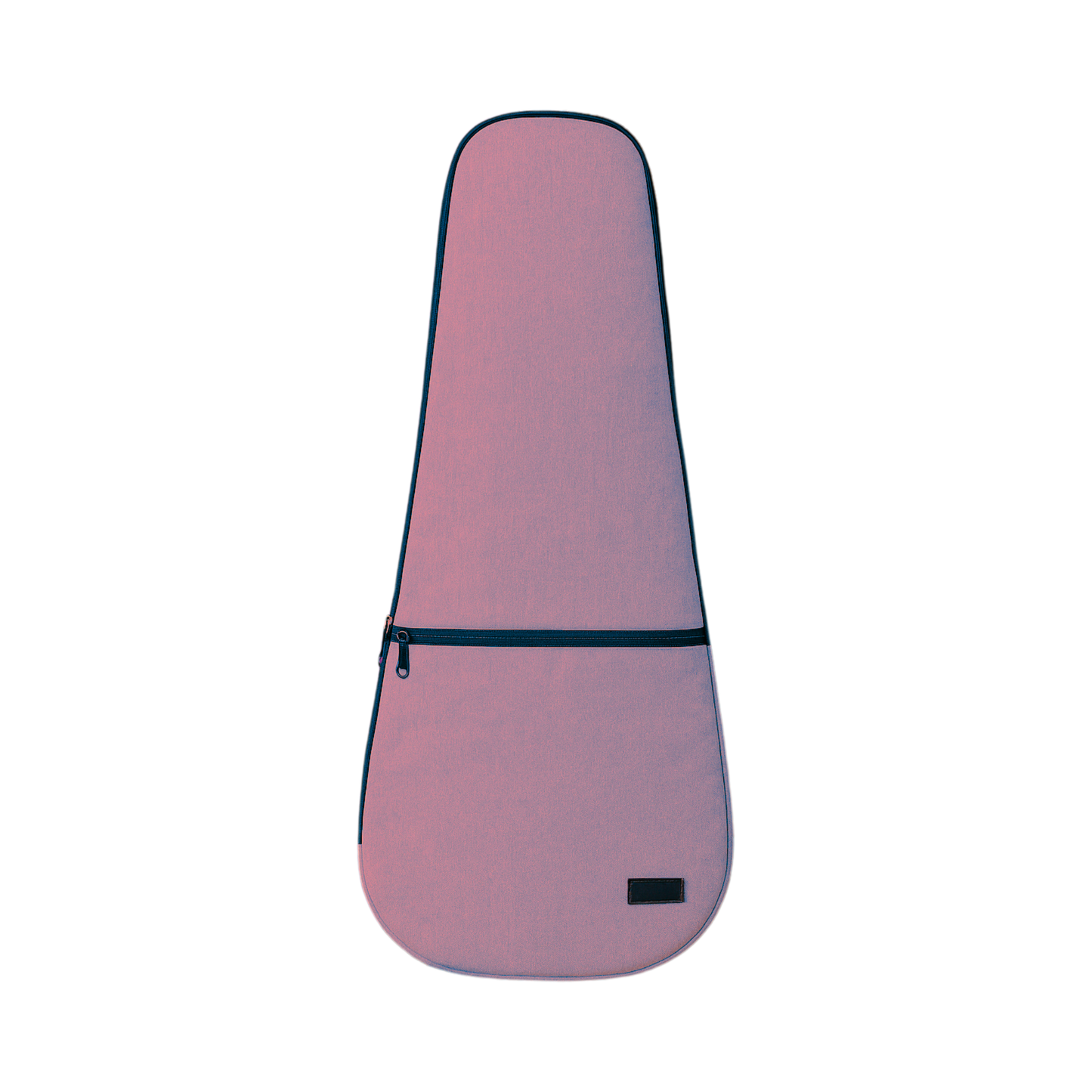 Guitar Case