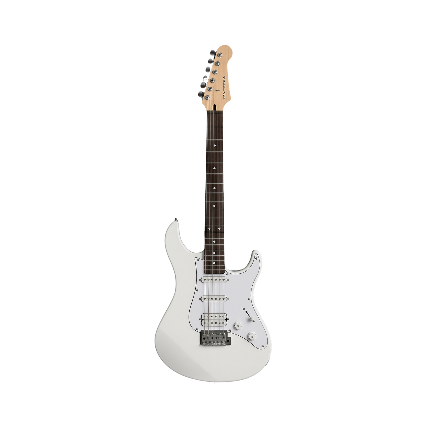 Electric Guitar