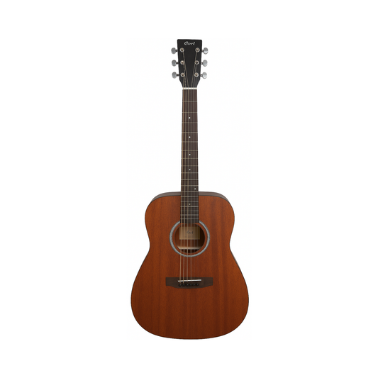 Acoustic Guitar