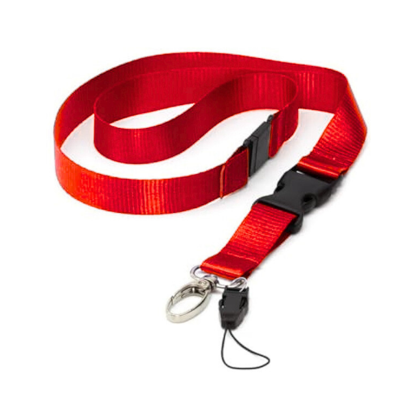 Lanyard