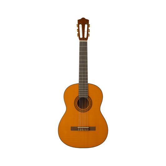 Classic Guitar