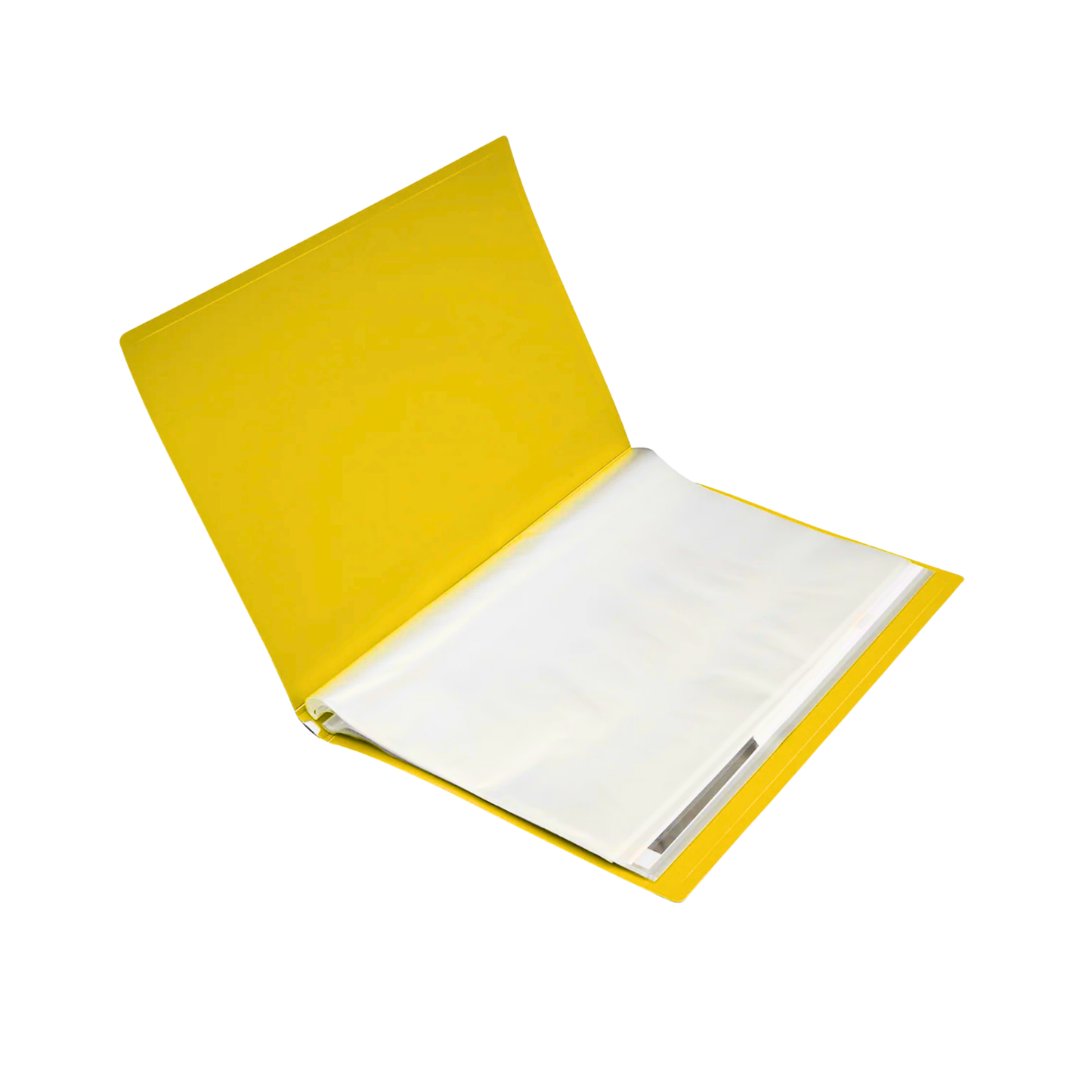 Pocket File