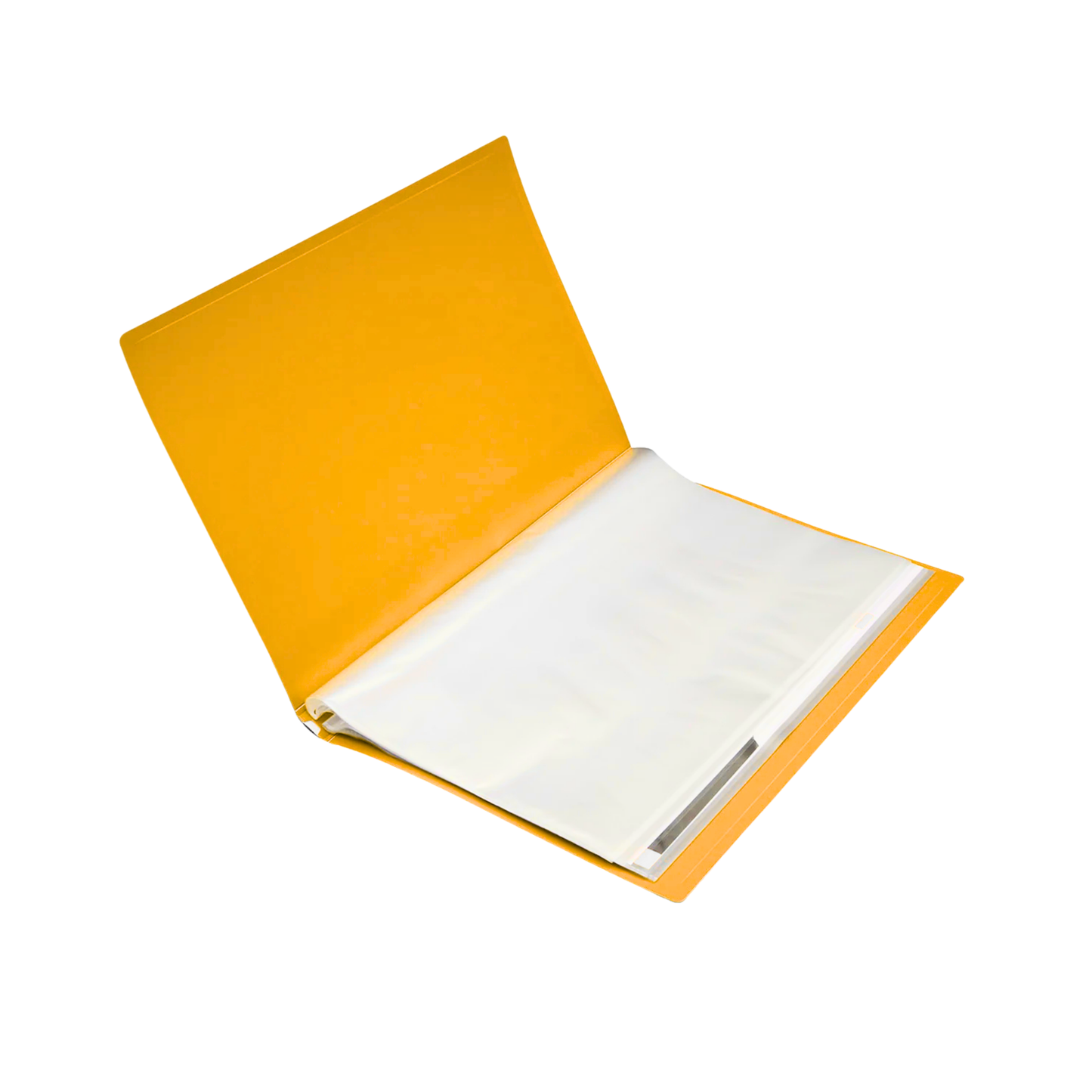 Pocket File