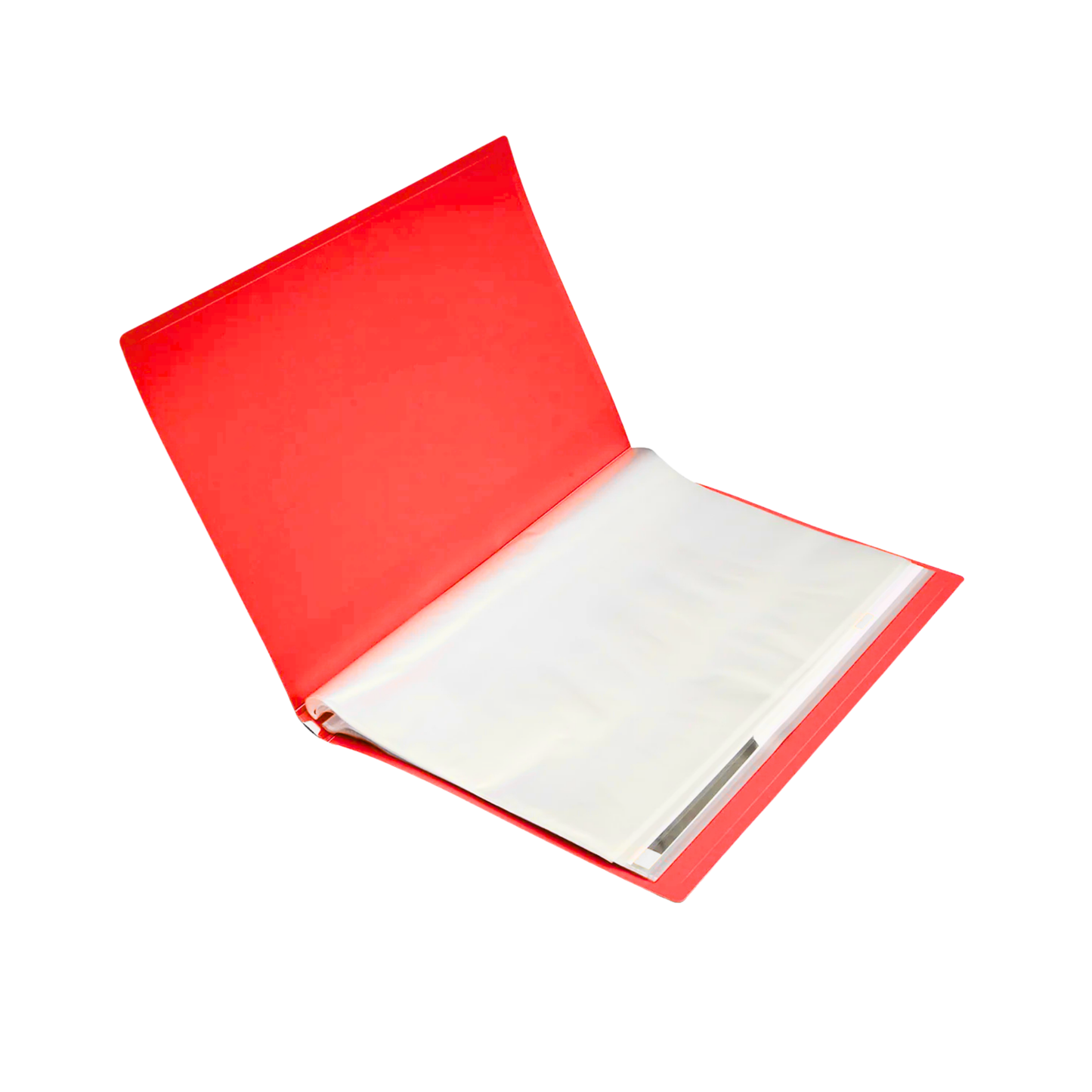 Pocket File