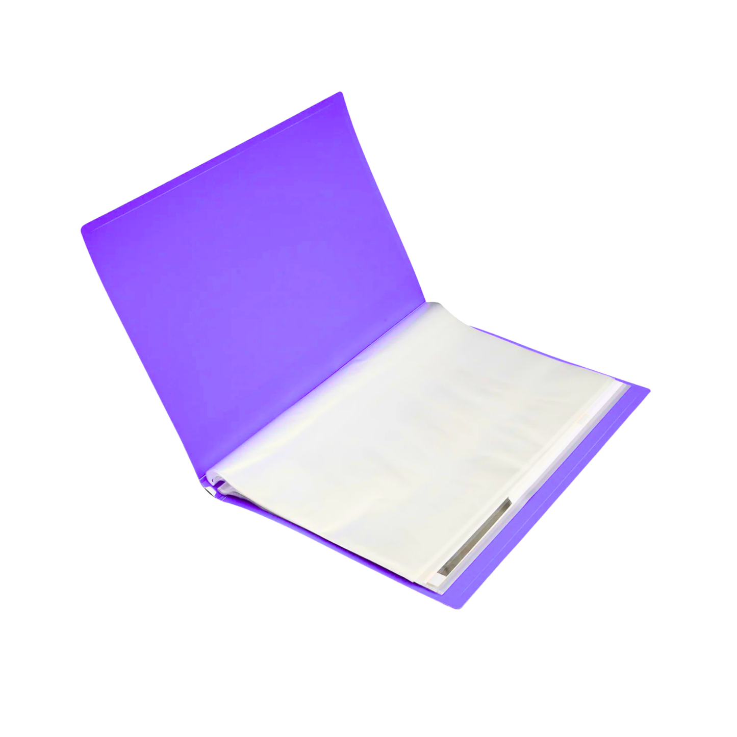 Pocket File