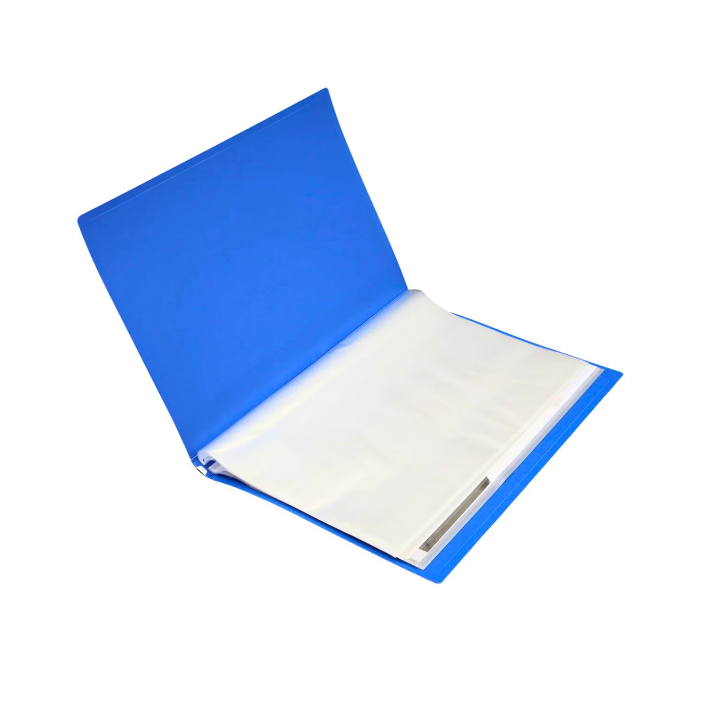 Pocket File