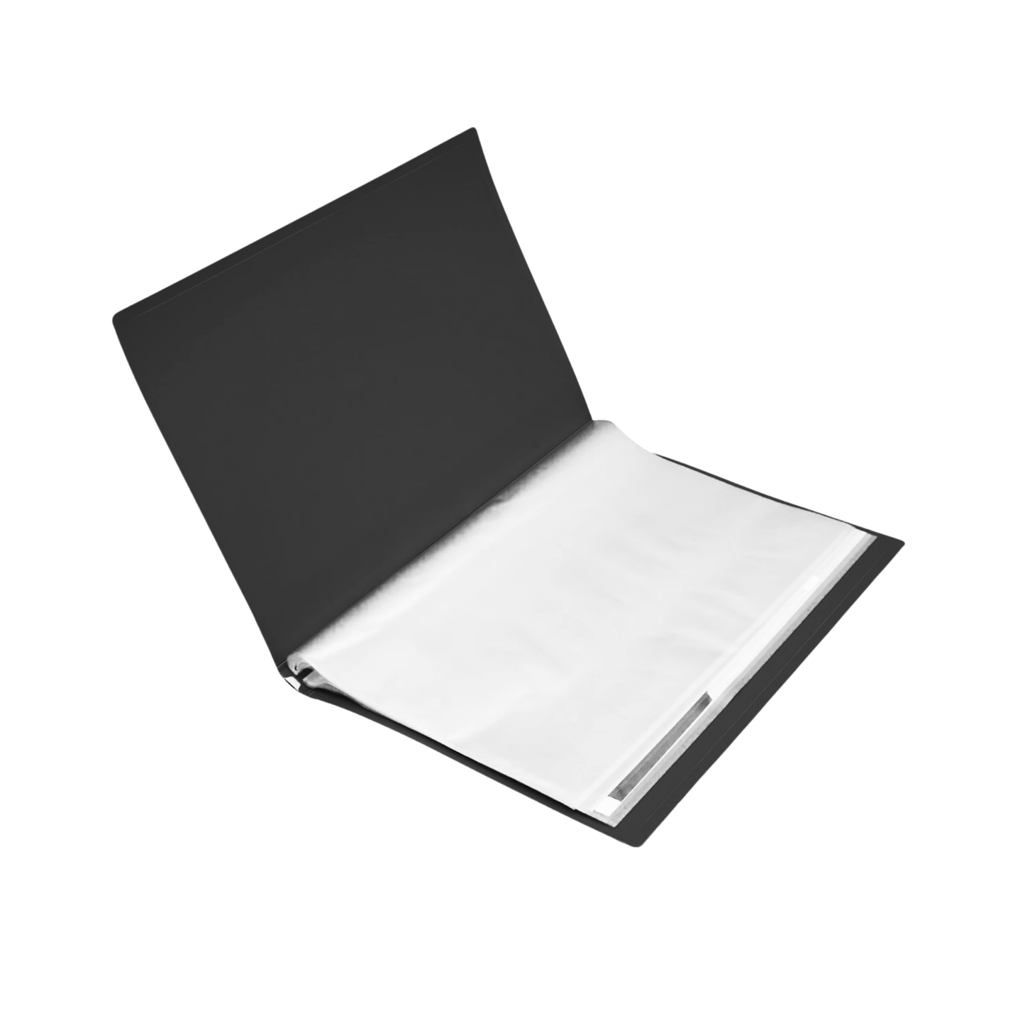 Pocket File